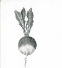 Carregar imagem no visualizador da galeria, Rabanete