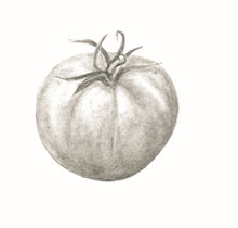 Carregar imagem no visualizador da galeria, Tomate