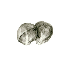 Carregar imagem no visualizador da galeria, Couve