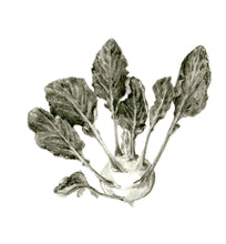 Carregar imagem no visualizador da galeria, Couve