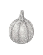 Carregar imagem no visualizador da galeria, Curgete