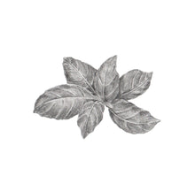 Carregar imagem no visualizador da galeria, Manjericão