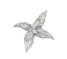 Carregar imagem no visualizador da galeria, Manjericão