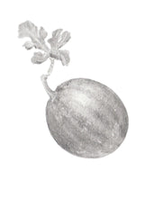 Carregar imagem no visualizador da galeria, Melancia