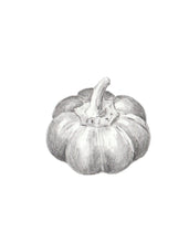 Carregar imagem no visualizador da galeria, Pimento