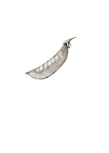 Carregar imagem no visualizador da galeria, Ervilha