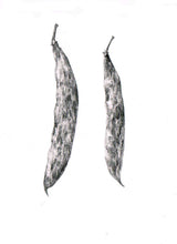 Carregar imagem no visualizador da galeria, Feijão