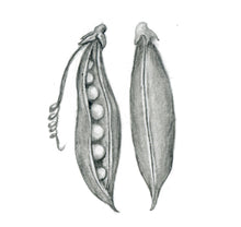 Carregar imagem no visualizador da galeria, Ervilha