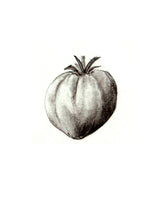 Carregar imagem no visualizador da galeria, Tomate